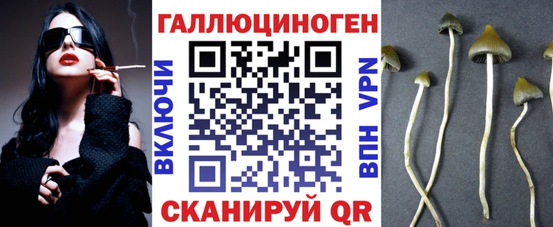 сколько стоит  Гаджиево  Галлюциногенные грибы GOLDEN TEACHER 