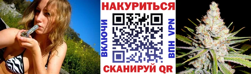 Бошки Шишки Bruce Banner  Гаджиево 